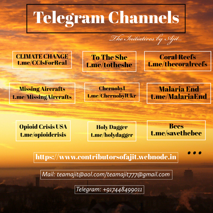 Telegram Channels!